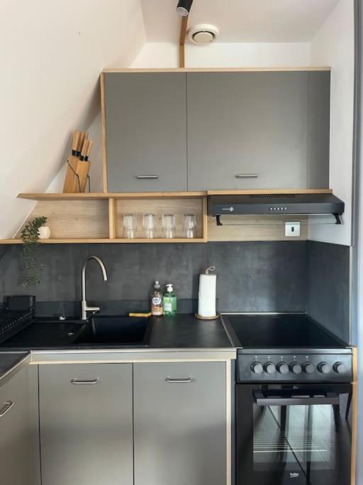 샤르트르 Duplex Bord De L'Eure - Parking Inclus - Jolie Vue Sur La Cathedrale 아파트 외부 사진