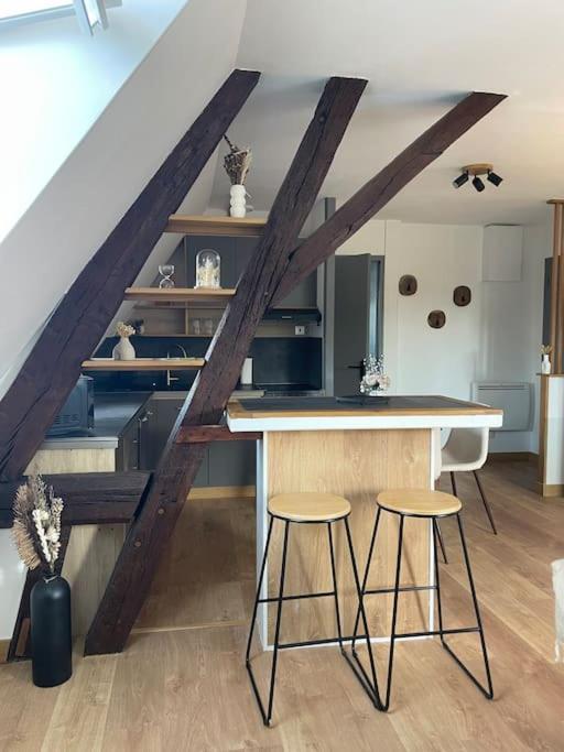 샤르트르 Duplex Bord De L'Eure - Parking Inclus - Jolie Vue Sur La Cathedrale 아파트 외부 사진