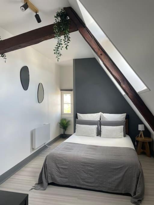 샤르트르 Duplex Bord De L'Eure - Parking Inclus - Jolie Vue Sur La Cathedrale 아파트 외부 사진