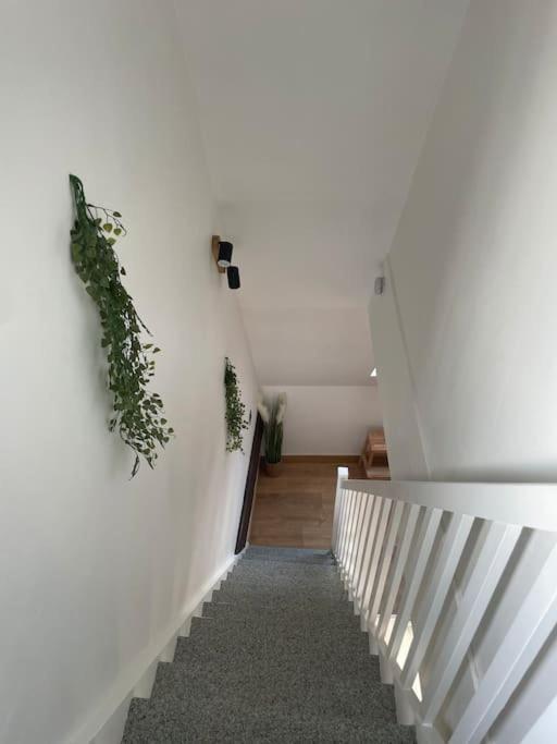 샤르트르 Duplex Bord De L'Eure - Parking Inclus - Jolie Vue Sur La Cathedrale 아파트 외부 사진