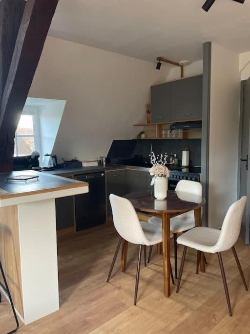 샤르트르 Duplex Bord De L'Eure - Parking Inclus - Jolie Vue Sur La Cathedrale 아파트 외부 사진