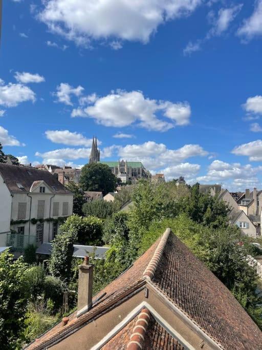 샤르트르 Duplex Bord De L'Eure - Parking Inclus - Jolie Vue Sur La Cathedrale 아파트 외부 사진